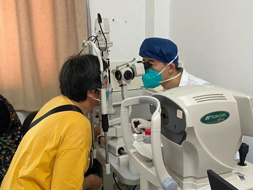 专业产后恢复服务助力筛查服务质量提升，金山4657名糖尿病患者迎健康管理新阶段